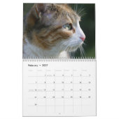 Calendrier Chats 2027 (Feb 2027)