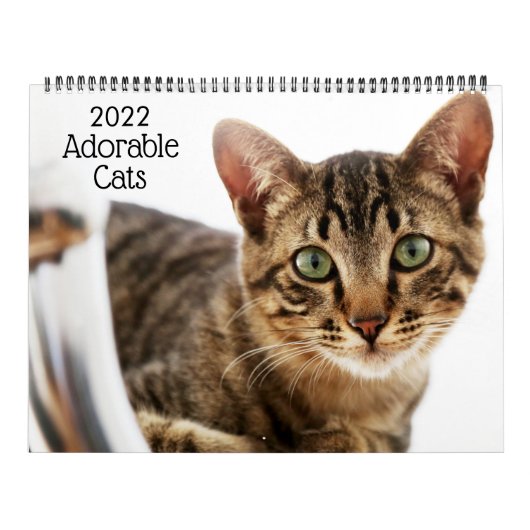 Calendrier Chats Adorables 2022 (Protection)
