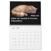 Calendrier Chats amusants avec Catitude (Mar 2027)
