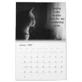 Calendrier Chats amusants avec Catitude (Jan 2027)