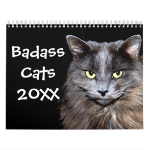Calendrier Chats amusants avec la catitude