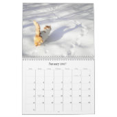 Calendrier Chats Beaux portraits pour animaux (Jan 2027)