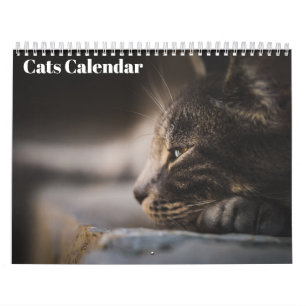 Calendrier Chats Bengal 2027