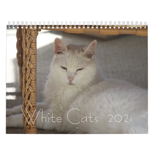 Calendrier Chats blancs 2021 (Protection)