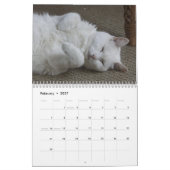 Calendrier Chats blancs 2021 (Feb 2027)