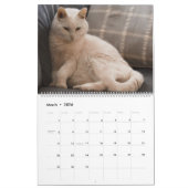 Calendrier Chats, Chats, Chats, Chats, Chats, Chats Calendrie (Mar 2026)