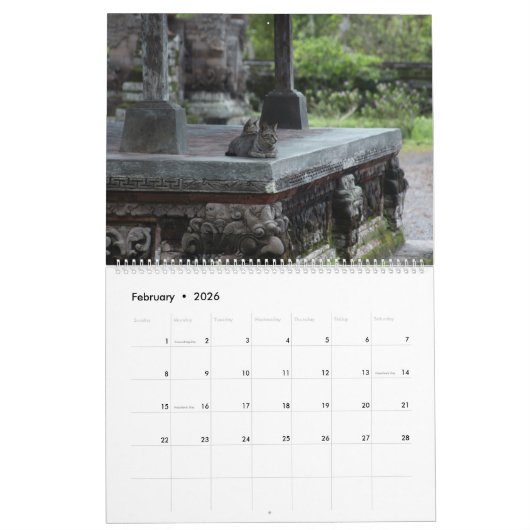 Calendrier Chats, Chats, Chats, Chats, Chats, Chats Calendrie (Feb 2026)