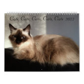 Calendrier Chats, Chats, Chats, Chats, Chats, Chats Calendrie (Protection)