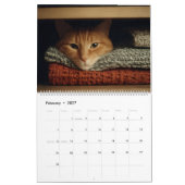 Calendrier Chats dans des endroits confortables 2026 (Feb 2027)