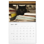 Calendrier Chats dans des endroits confortables 2026 (Mar 2027)