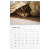 Calendrier Chats dans des endroits confortables 2026 (Jan 2027)