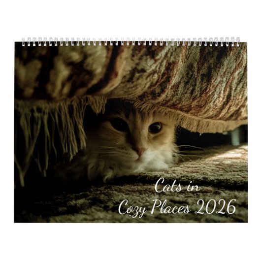 Calendrier Chats dans des endroits confortables 2026 (Protection)
