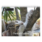 Calendrier Chats de Chypre par PaphosLife (Protection)