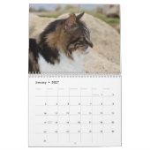 Calendrier Chats de Chypre par PaphosLife Calendar (Jan 2027)