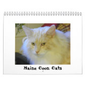 Calendrier Chats de ragondin du Maine (Protection)