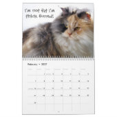 Calendrier Chats drôles avec Catitude (Feb 2027)
