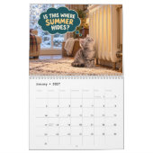 Calendrier Chats Drôles Ont Des Questions (Jan 2027)