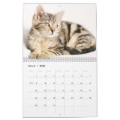 Calendrier Chats du Bengale 2023 (Mar 2026)