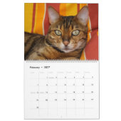 Calendrier Chats du Bengale 2025 (Feb 2027)