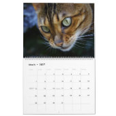 Calendrier Chats du Bengale 2025 (Mar 2027)