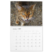 Calendrier Chats du Bengale 2025 (Jan 2027)