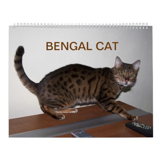 Calendrier Chats du Bengale 2025 (Protection)