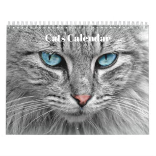 Calendrier Chats du Bengale 2027