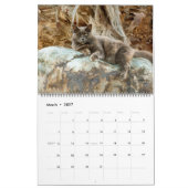 Calendrier Chats en Espagne (Mar 2027)
