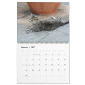Calendrier Chats en Espagne (Feb 2027)