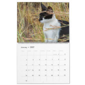 Calendrier Chats en Espagne (Jan 2027)