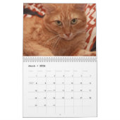 Calendrier Chats et chatons (Mar 2026)