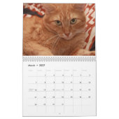 Calendrier Chats et chatons (Mar 2027)