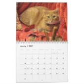 Calendrier Chats et chatons (Jan 2027)