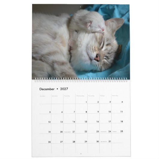 Calendrier Chats et chatons dormants Cute Kitty 2020 (Dec 2027)