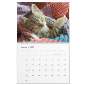 Calendrier Chats et chatons dormants Cute Kitty 2020 (Jan 2027)