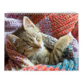 Calendrier Chats et chatons dormants Cute Kitty 2020 (Protection)