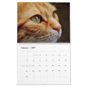 Calendrier Chats et chatons orange tabby mignons 2027 (Feb 2027)