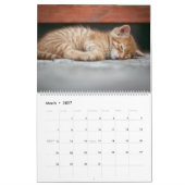 Calendrier Chats et chatons orange tabby mignons 2027 (Mar 2027)