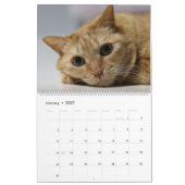 Calendrier Chats et chatons orange tabby mignons 2027 (Jan 2027)