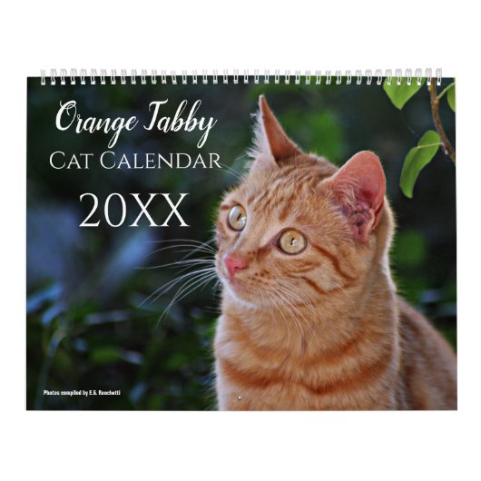 Calendrier Chats et chatons orange tabby mignons 2027 (Protection)