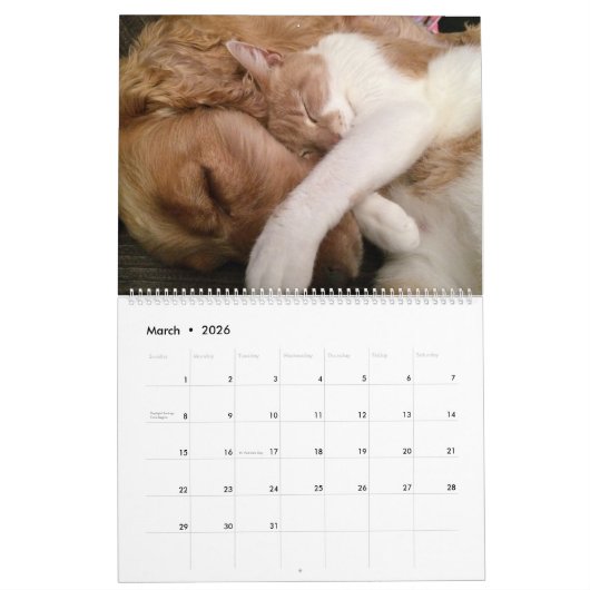 Calendrier Chats et chiens amis ensemble (Mar 2026)