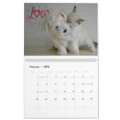 Calendrier Chats et chiens amis ensemble (Feb 2026)