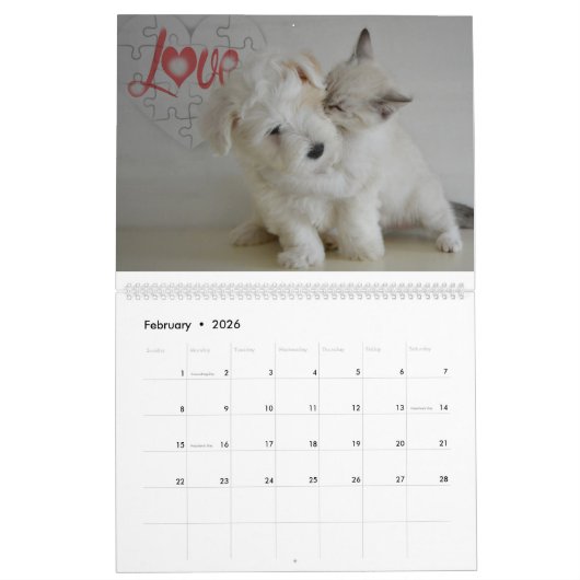 Calendrier Chats et chiens amis ensemble (Feb 2026)