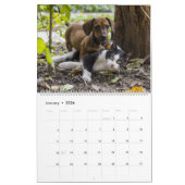 Calendrier Chats et chiens amis ensemble (Jan 2026)