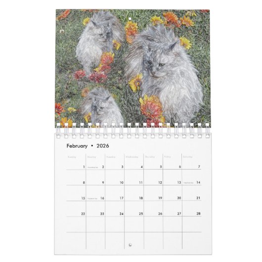 Calendrier Chats Fous Et Chatons, (Feb 2026)