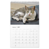 Calendrier Chats grecs - photos des petits compagnons (Jan 2027)