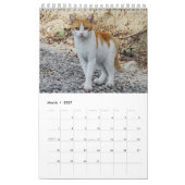Calendrier Chats grecs - photos des petits compagnons (Mar 2027)
