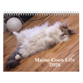 Calendrier Chats Maine Coon | Vie de Maine Coon