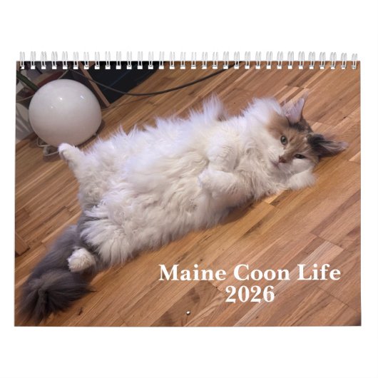 Calendrier Chats Maine Coon | Vie de Maine Coon (Protection)