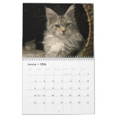 Calendrier Chats Maine Coon | Vie de Maine Coon (Jan 2026)